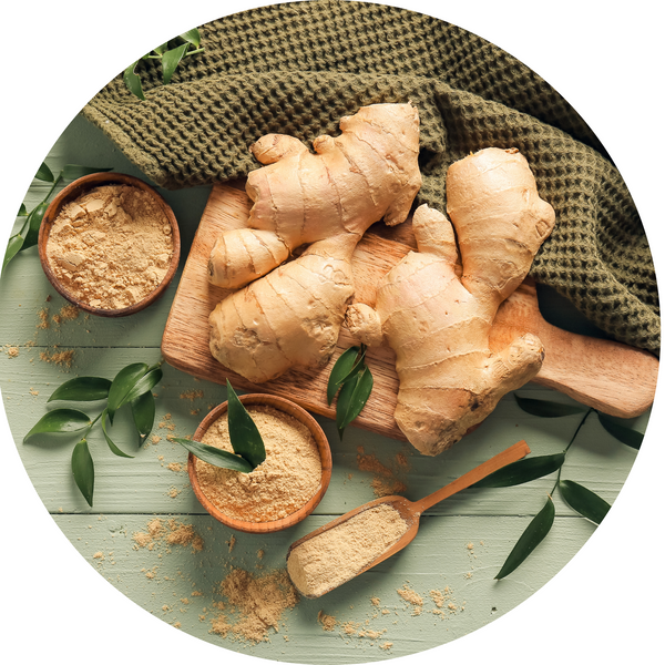 Ginger