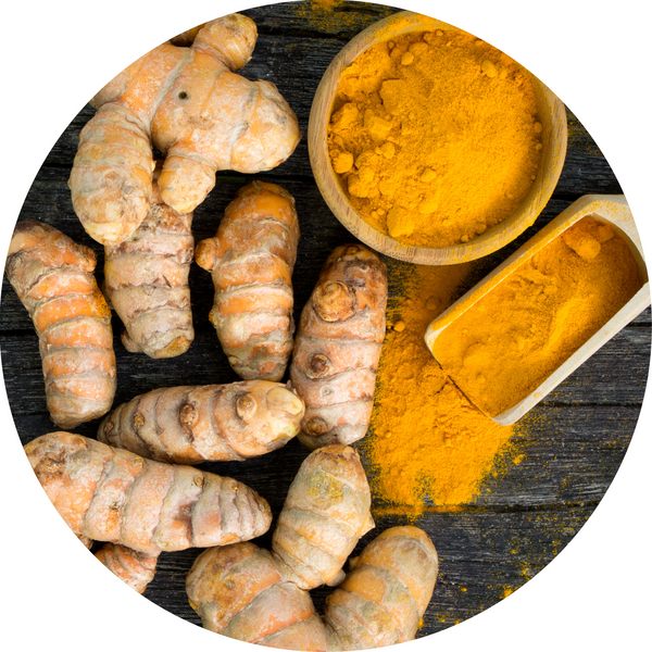 Tumeric The Finest Teas for Women’s Health, Balance & Self-Care