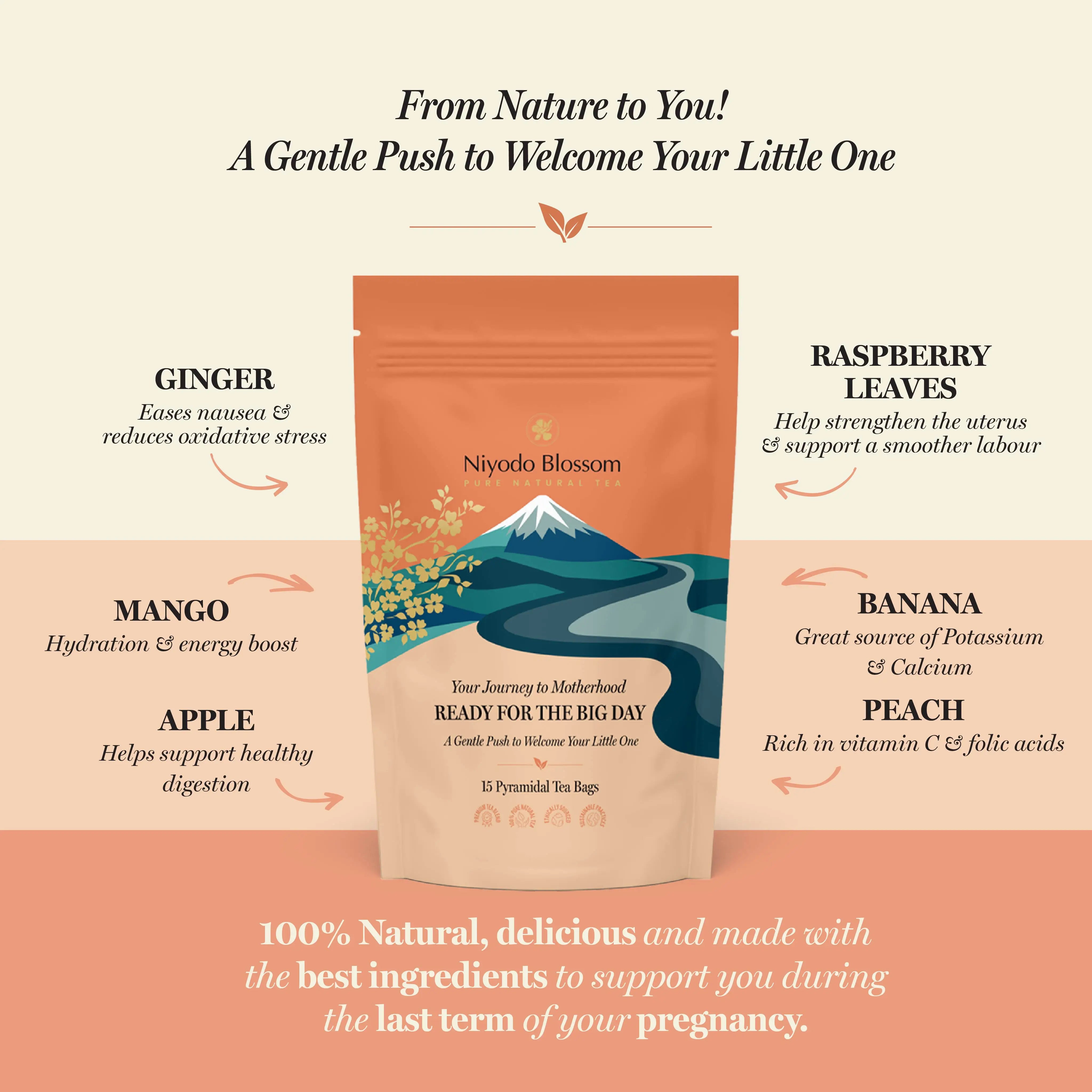 Raspberry Leaf Pregnancy Tea