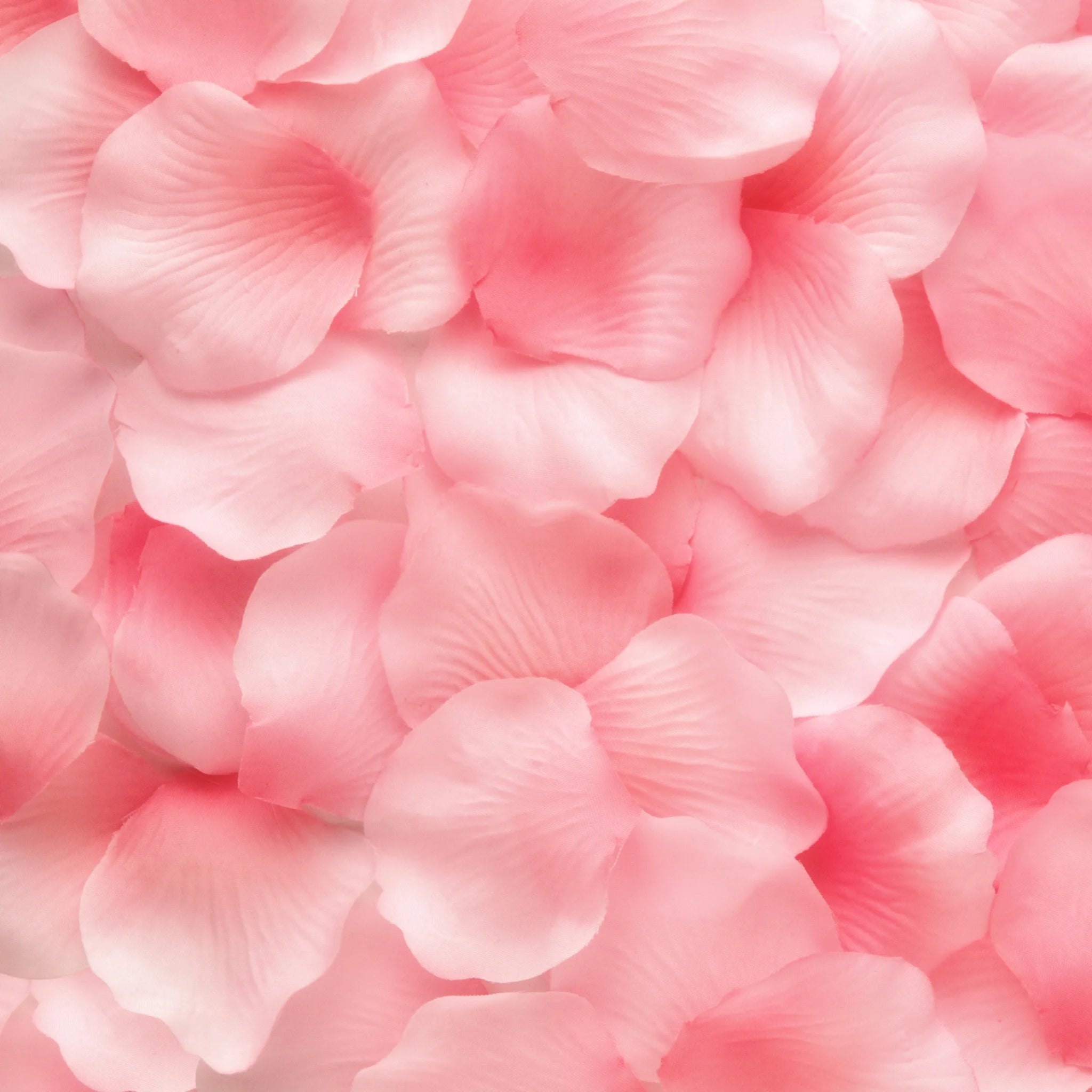 Sakura Signature Tea